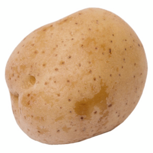Yellow Potatoes #2 Grade 22.7 kg